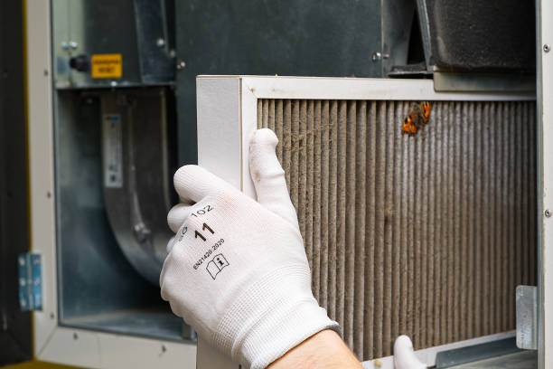 Best Affordable Air Duct Cleaning  in Emeryville, CA