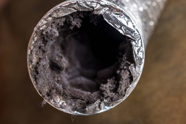 Best Professional Duct Cleaning Services  in Emeryville, CA