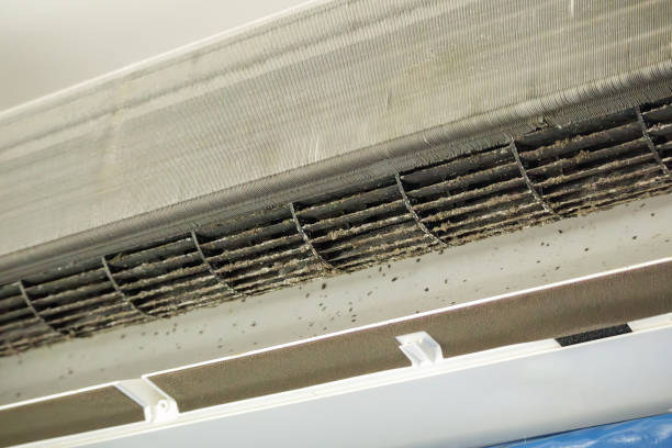 Best Dryer Vent Cleaning Services  in Emeryville, CA