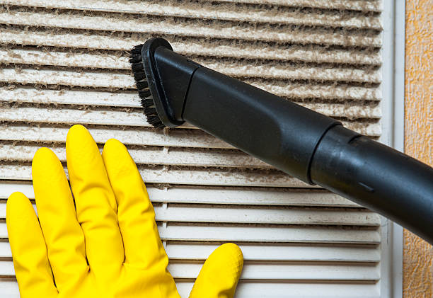 Best Affordable Duct Cleaning Services  in Emeryville, CA